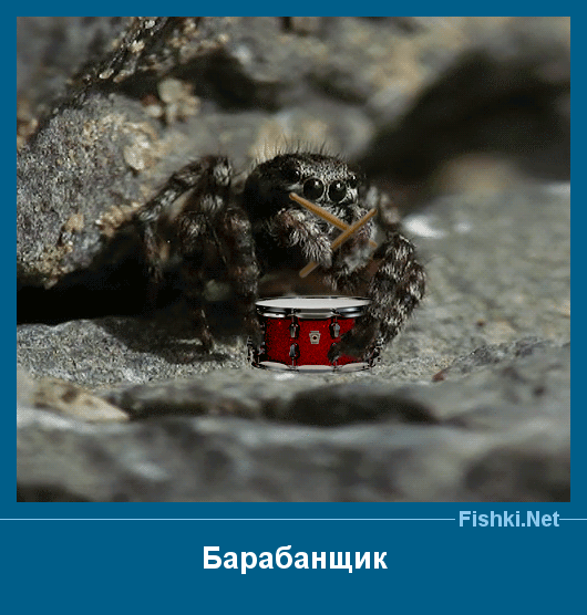 ����� � ���������