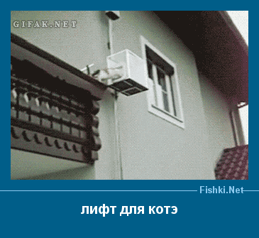 ����� � ���������