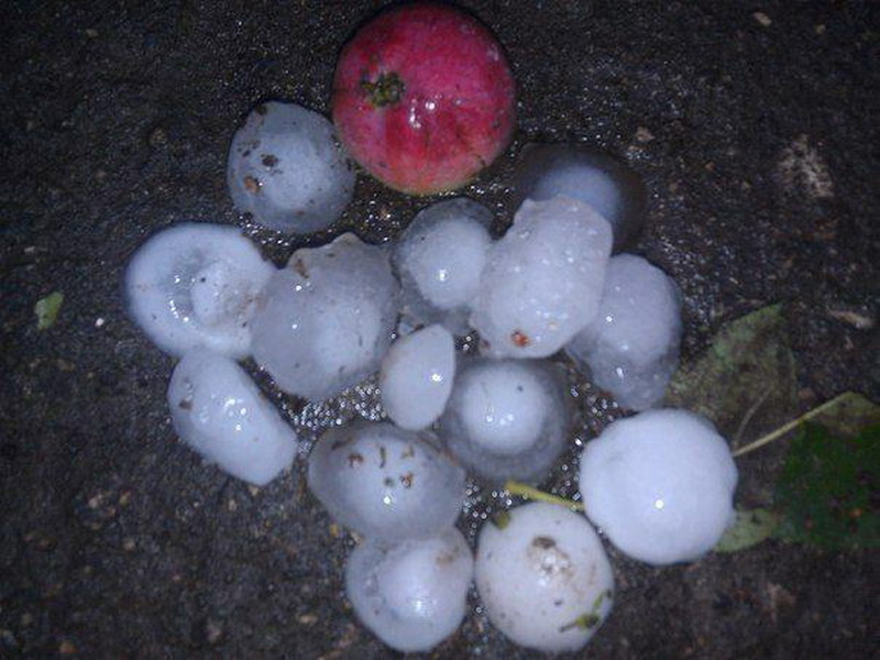 ������������ ���� � ������