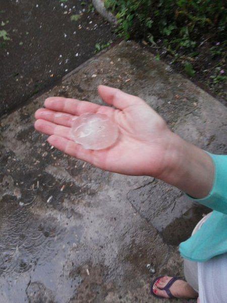 ������������ ���� � ������