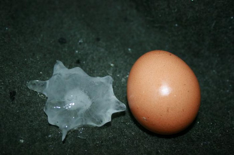 ������������ ���� � ������