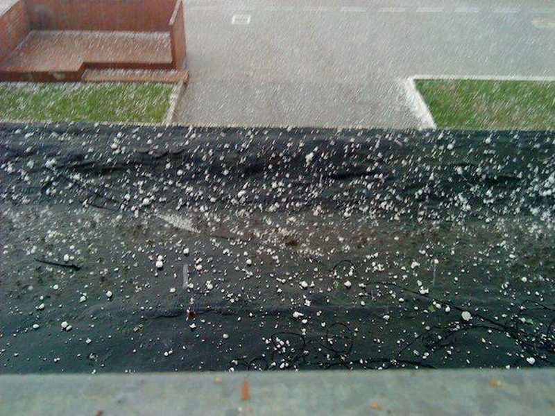 ������������ ���� � ������