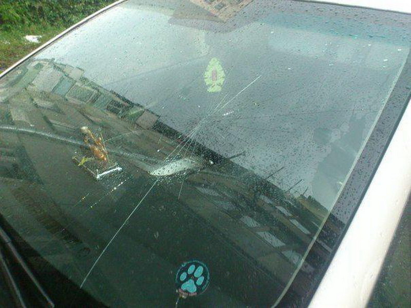 ������������ ���� � ������