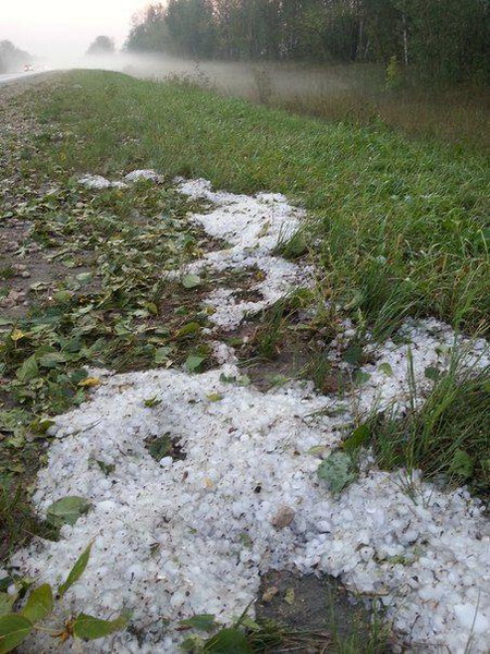 ������������ ���� � ������