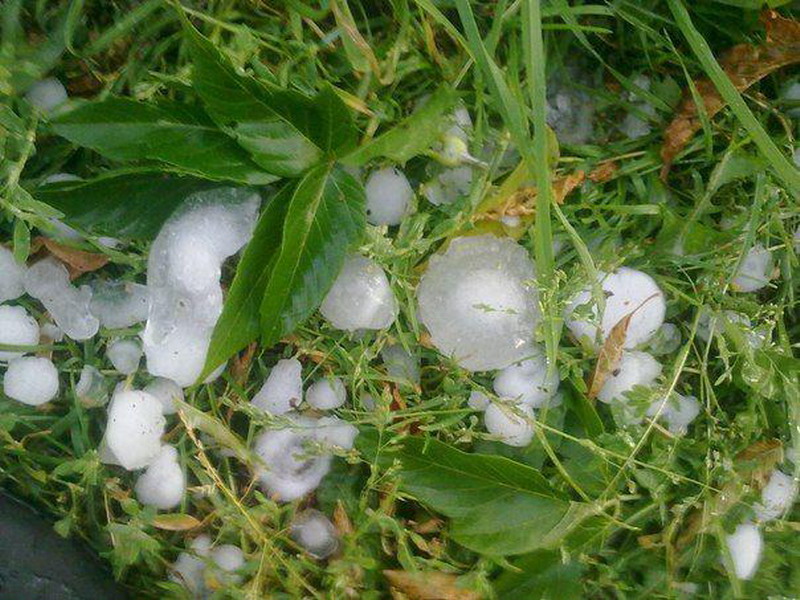 ������������ ���� � ������