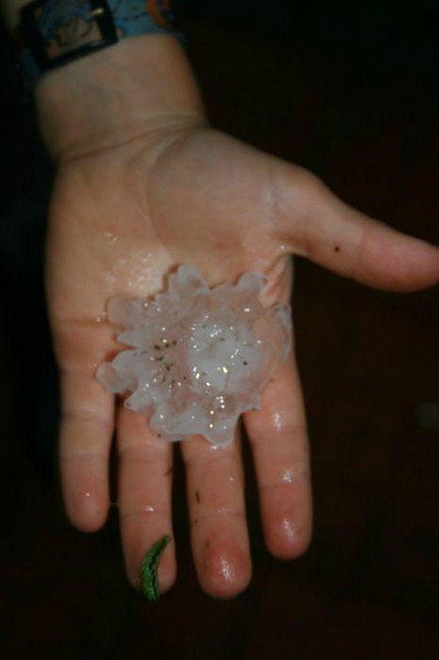 ������������ ���� � ������