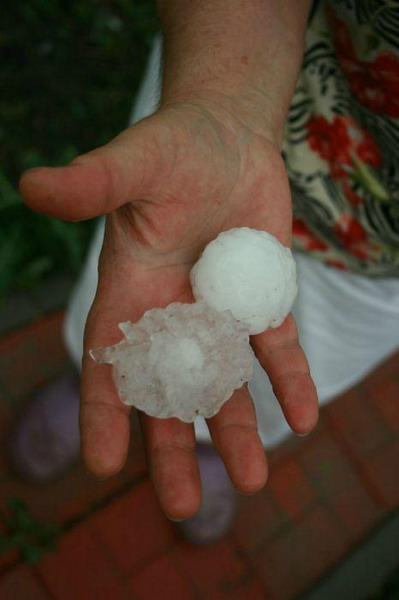 ������������ ���� � ������