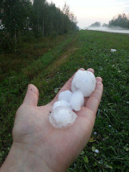 ������������ ���� � ������