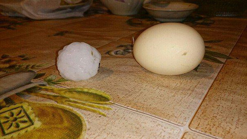 ������������ ���� � ������