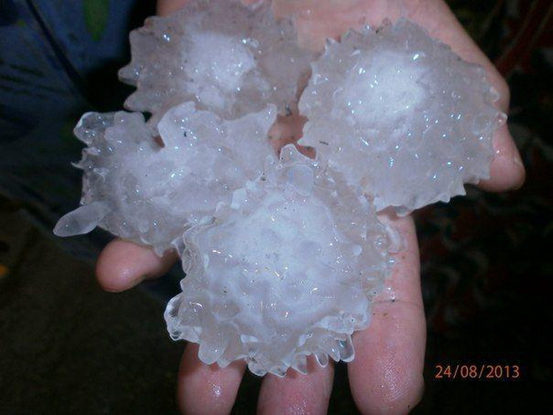 ������������ ���� � ������