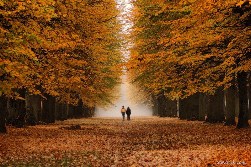 ������� �������