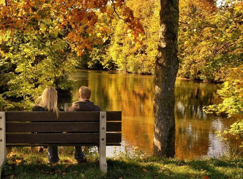 ������� �������