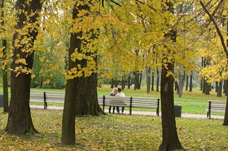 ������� �������