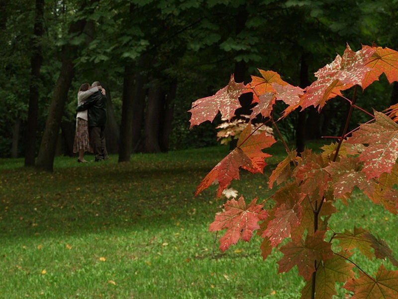 ������� �������