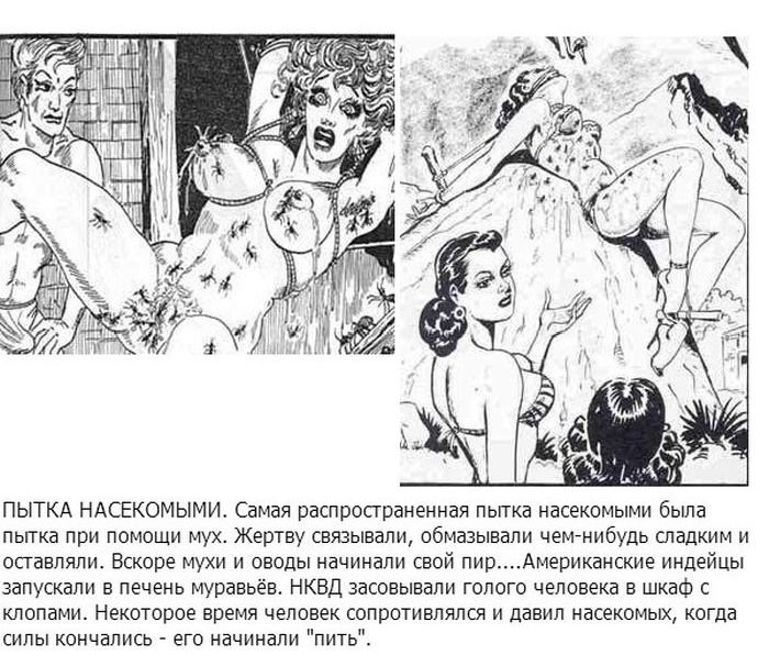 ����� �� ��������