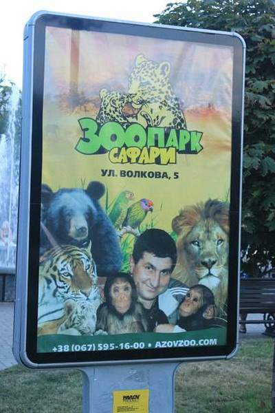 ���������