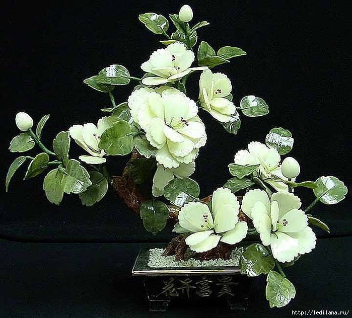 ������� �������