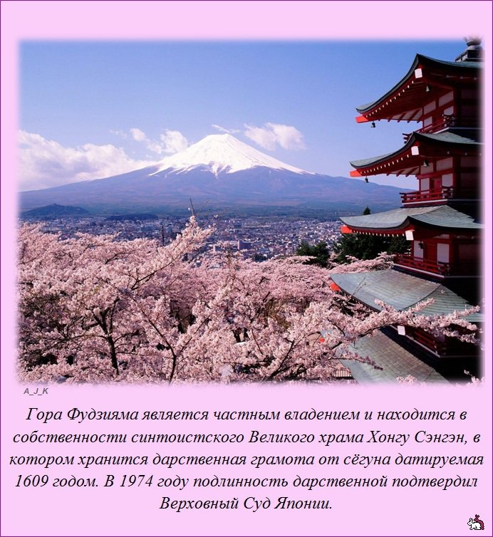 ������������ �����