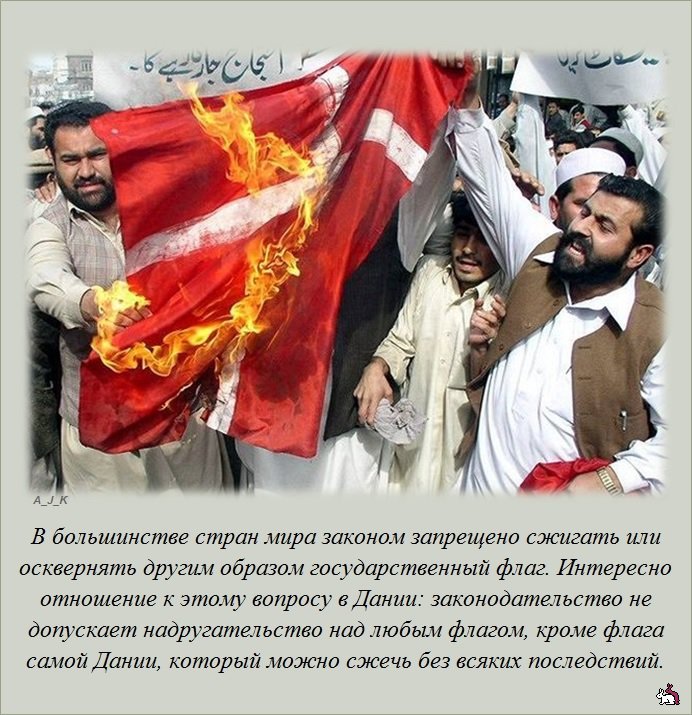 ������������ �����