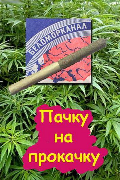 ������������� �.2