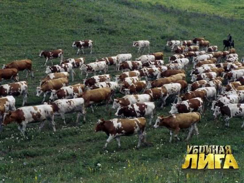 ������������� �.3