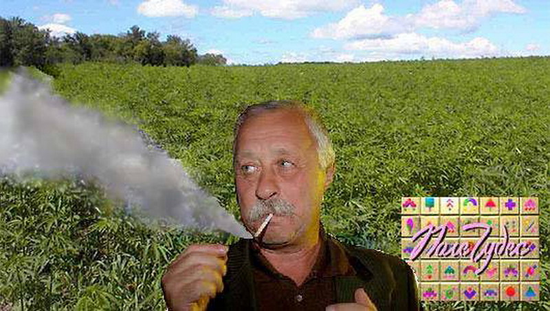 ������������� �.3