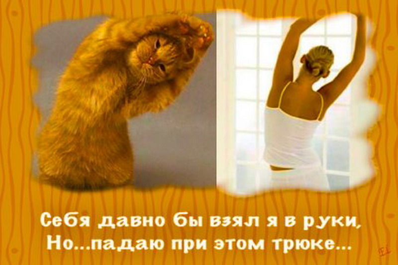 ������� ������