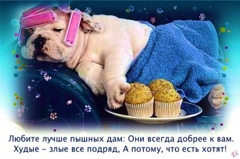 ������� ������ �.2