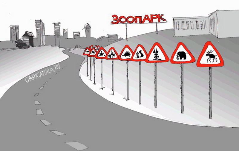 ���� � ���������