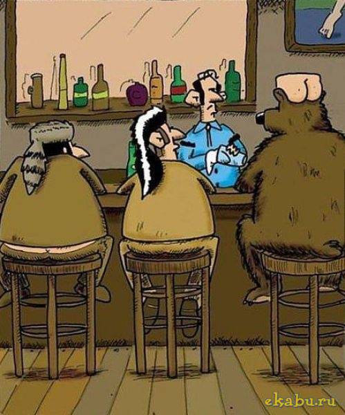 ���� � ���������