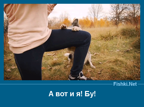 ����� � ���������