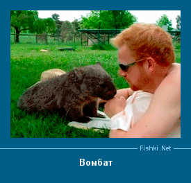 ����� � ���������