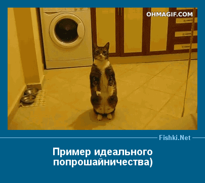 ����� � ���������