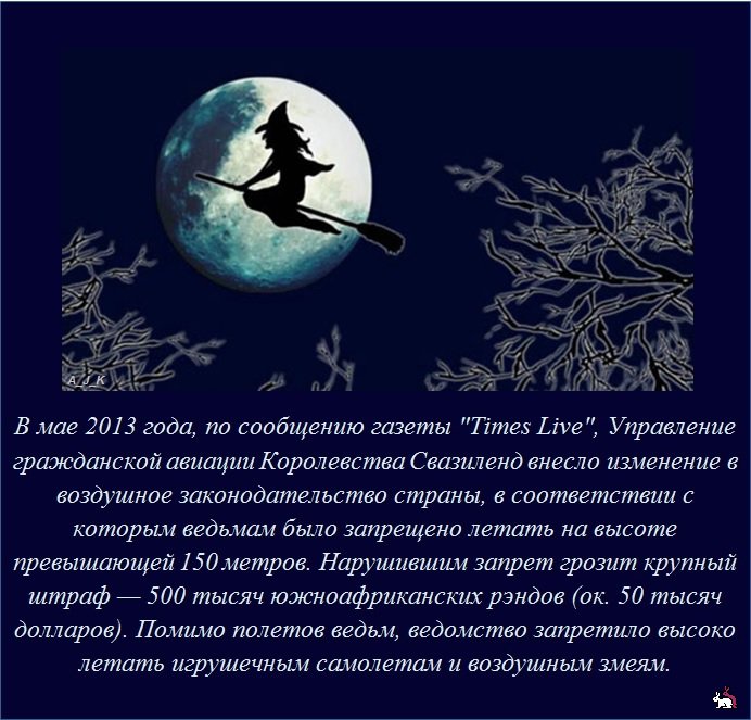 ������������ �����