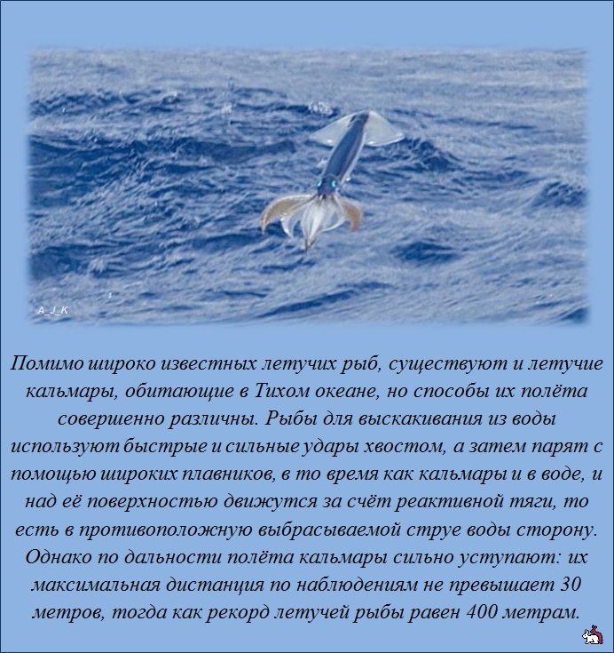 ������������ �����