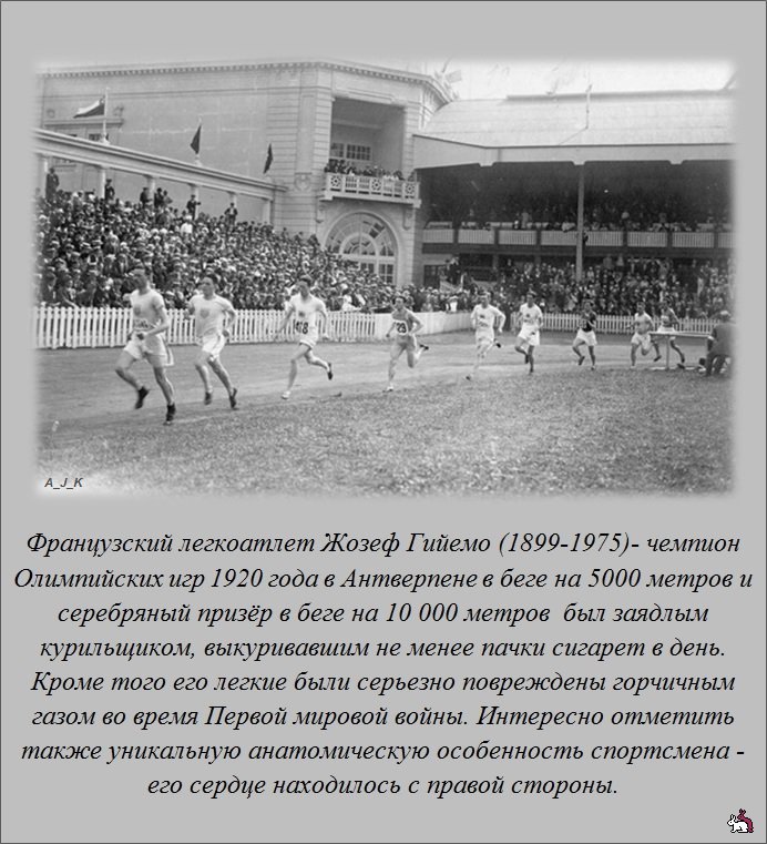 ������������ �����