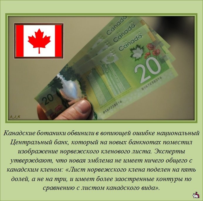 ������������ �����