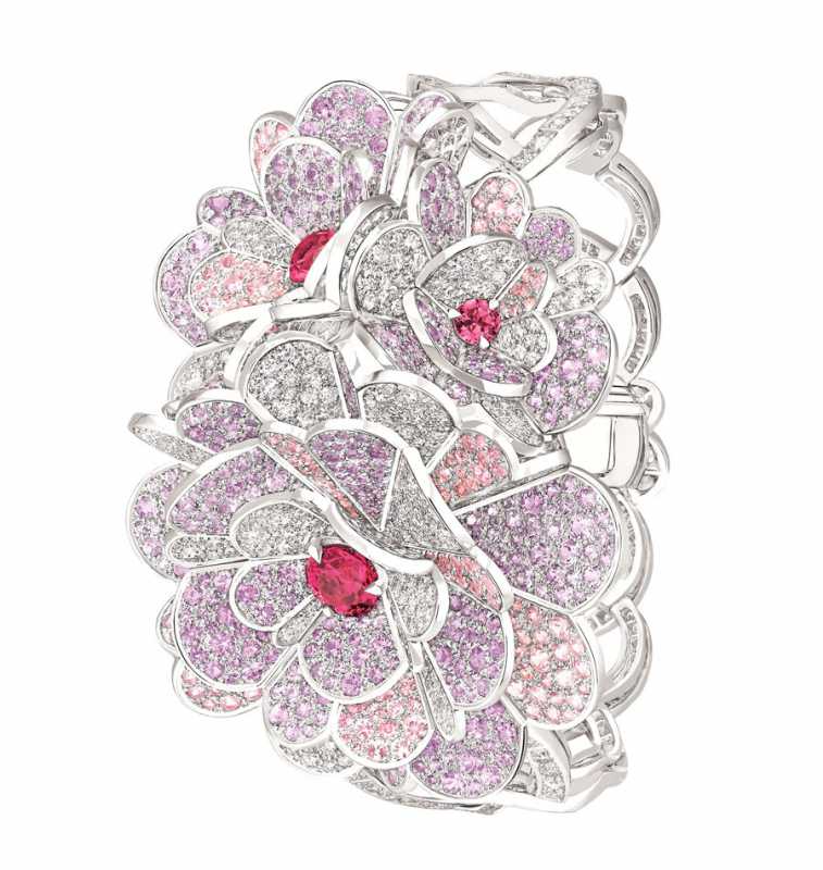 ��������� �����