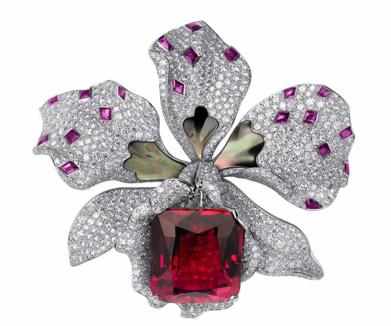 ��������� �����