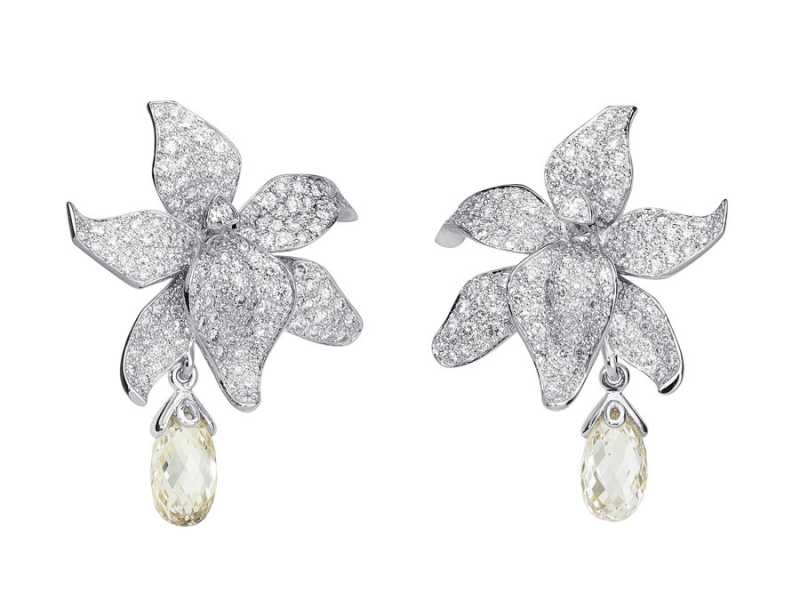 ��������� �����