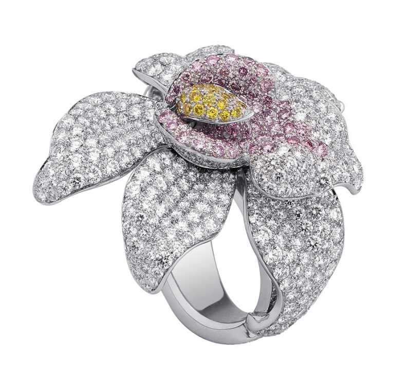 ��������� �����