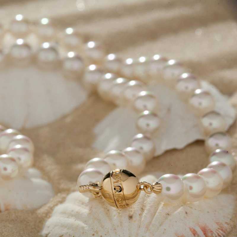 ��������� �����. ������