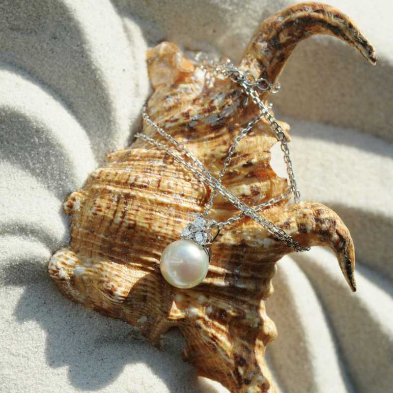 ��������� �����. ������