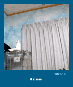 ����� � ���������