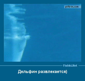 ����� � ���������