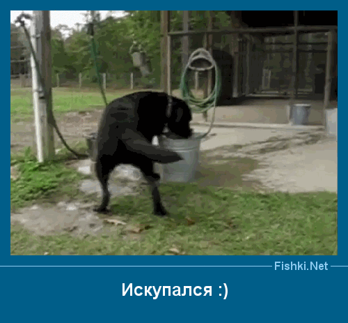 ����� � ���������