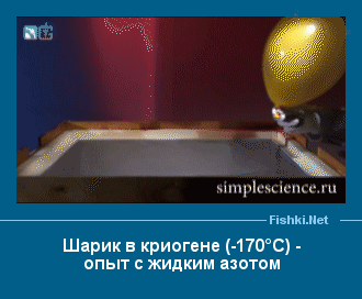 ����� � ���������