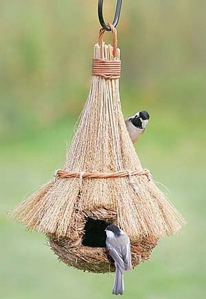 ������ ������