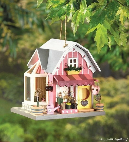 ������ ������