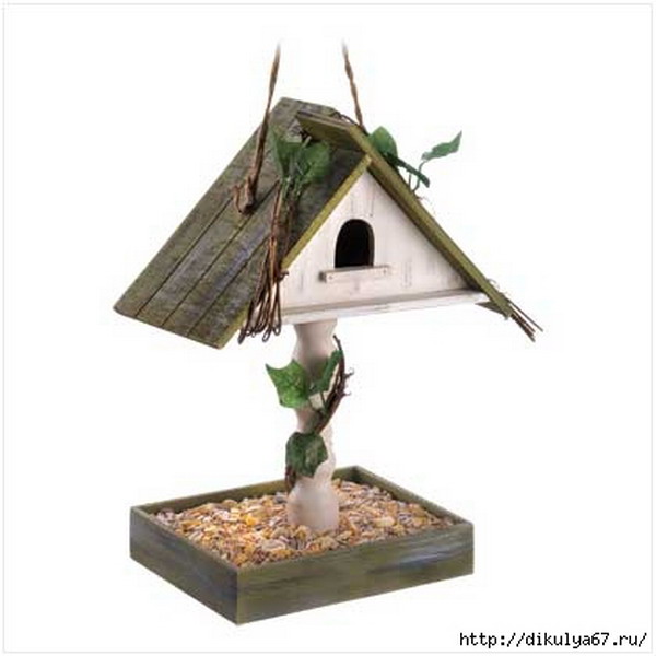 ������ ������